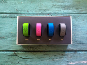 Magic Bands, Disney World